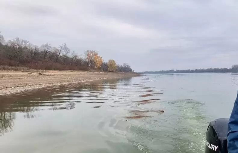 Apare o noua intoxicare lipsa apei din Dunare