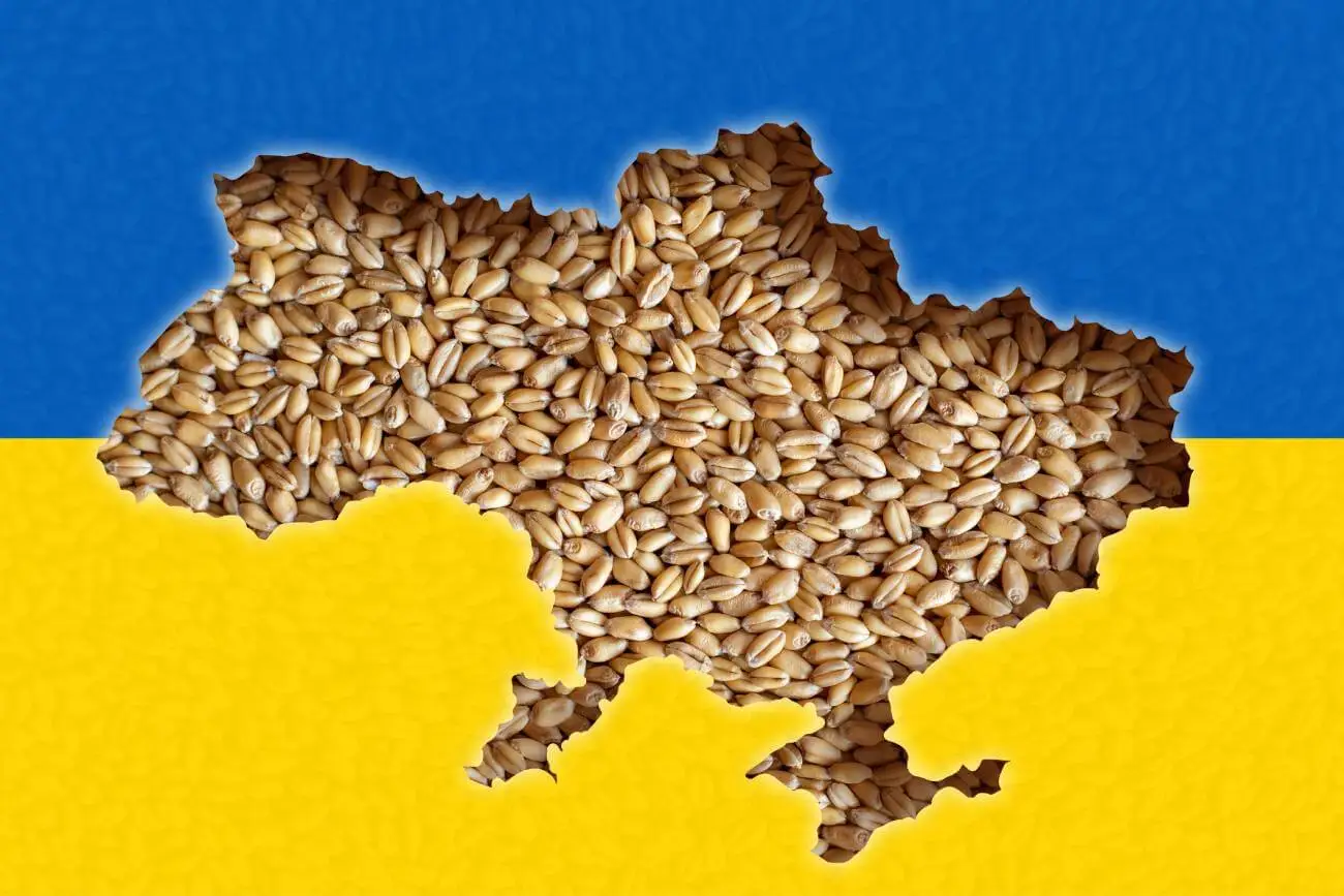 Interdictia de import a cerealelor din Ucraina a fost ridicata