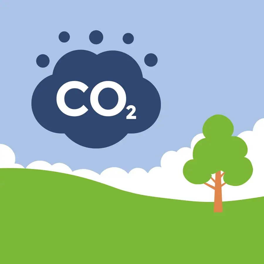 taxa pe CO2